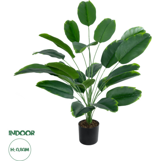 GloboStar Artificial Garden Young Banana ������������ ���� ����� �������� �80cm - (20916)