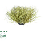 GloboStar Artificial Garden Grass Bush Plant ������� ������������ ���� ������ Grass �50cm Y30cm - (21166)