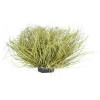 GloboStar Artificial Garden Grass Bush Plant ������� ������������ ���� ������ Grass �50cm Y30cm - (21166)
