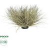 GloboStar Artificial Garden Grass Bush Plant ������� ������������ ���� ������ Grass �50cm Y30cm - (21167)