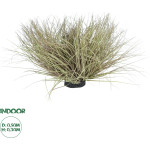 GloboStar Artificial Garden Grass Bush Plant ������� ������������ ���� ������ Grass �50cm Y30cm - (21167)