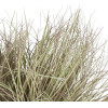 GloboStar Artificial Garden Grass Bush Plant ������� ������������ ���� ������ Grass �50cm Y30cm - (21167)