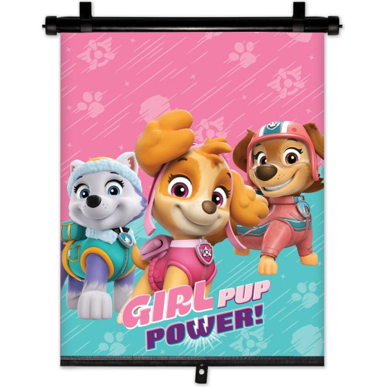 AMiO ���������� �������������� �� ���� Paw Patrol Girl 36x45cm ��� ������ �����/���� �������� ���� - 1 ���. - (S34025)