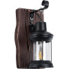 GloboStar BRASRA Vintage ��������� ������ ������ �������� 1 x E27 AC220-240V - �15 x �20 x �30cm - ������ �� ����� ��������� ������ ��� ������� ����� ������ - (01204)
