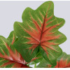 GloboStar CALADIUM ������� ���� ������� - �������� ������������� ����� - ������� �� ������� ������� - ������� - ������� �28cm - (S-78271)