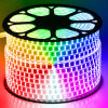 GloboStar Wide ������ ������ ������ Epistar LED SMD 5050 1m 24W/m 60LED/m 3144lm/m 120� DC 230V ��������� IP68 RGB Dimmable - (70517)