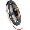 GloboStar Avila ������ Led 4.8W/m 300lm/m 120� Dc 12V IP20 - 60 x Smd 3528 Led Chip/����� - �5000 x �8 x �2mm - ���� 5 ������ - ����� ����� 6000K - 2 ������ ������� - (90590)