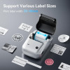 NIIMBOT Thermal Label Printer B1 2-Inch Silver - (B1-S)