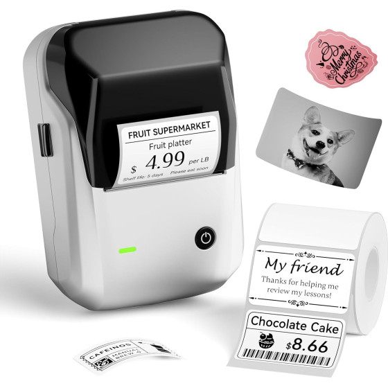 NIIMBOT Thermal Label Printer B1 2-Inch Silver - (B1-S)