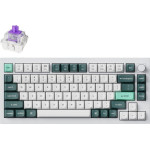 Keychron Q1 He Qmk White Wireless Custom Hall Effect Keyboard Purple Switch Us Layout - (Q1H-P1)