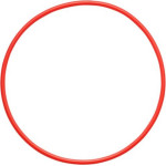 Olympus POL-058 O-Ring For PT-058 / PT-059 - (V6360530W000)
