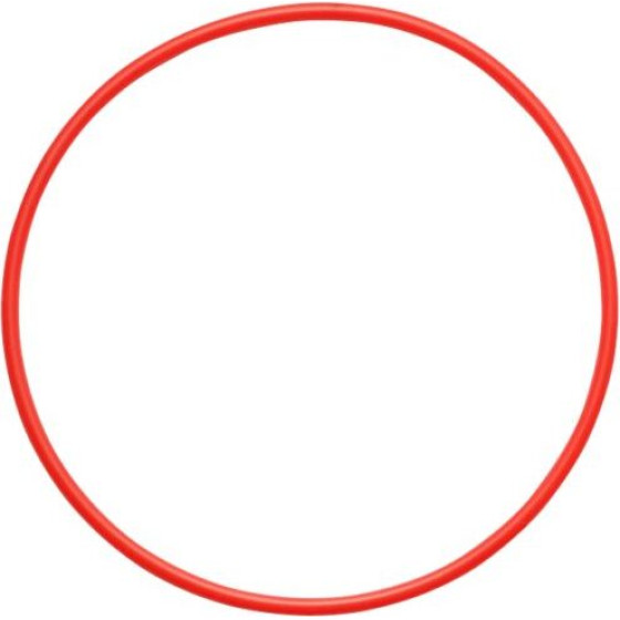 Olympus POL-058 O-Ring For PT-058 / PT-059 - (V6360530W000)