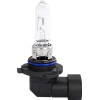 M-Tech ����� HB3 9005 P20d 12V 80W �������� ����� - 1 ���. - (Z80)