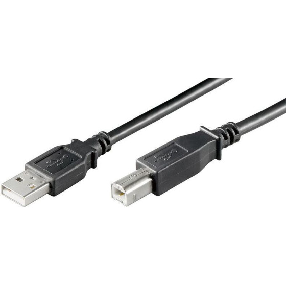 ������� Usb 2.0 �m / Bm 3m (��������)