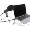 DeLock ��������� ����� ���� 2x 3.5mm, USB-C �������, ����� - (67128)
