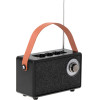 Camry Bluetooth Speaker With Fm Radio Black - (CR1902B)