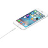 Apple Data Cable Lightning To Usb Cable 1m New - (MUQW3ZMA)