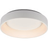 Aca ������ �/� Led 36W Cct 3670LM ����� ��������� D45XH14CM Apollo - (BR81LEDC45WHCCT)