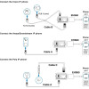 Yealink Wireless Headset Adapter - (EHS60)