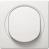Eon E6052.00 Double Pole switch, white