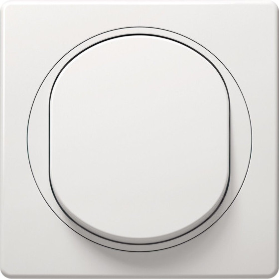 Eon E6052.00 Double Pole switch, white