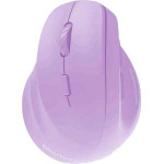 Meetion MT-BTM010L �������� ���������� �������� ������� ��� - (MT-BTM010L Purple)