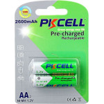 PKCELL ���������������� Rtu AA2600-2B (2���)