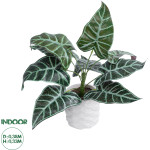 GloboStar Artificial Garden Alocasia ������� ������������ ���� �������� �38 x �33cm - (20886)