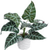 GloboStar Artificial Garden Alocasia ������� ������������ ���� �������� �38 x �33cm - (20886)