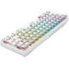 Havit Gaming ������������ - KB877L (Transparent White)