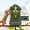 EasyPix Birdycam VIDEO/Photo Box And Feeding Station 12MP - (EP10123)