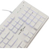 White Shark Led Keyboard GK-003241 Tachi Us Layout White - (TACHI-W-US)