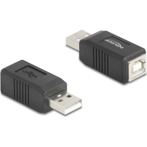 DeLock ���������� Usb �� Usb Type B 480Mbps, ������ - (67202)