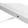 White Shark Mechanical Keyboard Red Switch GK-004211 White - (SHINOBI-2-W-US-RED.SW)