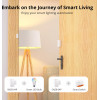 Sonoff Smart ��������� ������ ZigBee, ���������, ����� - (SNZB-04P)