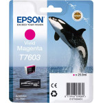 Ink Epson T7603 Ultrachrome Hd Vivid Magenta - 26ml - (C13T76034N10)
