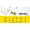 NiteCore �������� Rechargable ��2400 1.5v �4 + ������� ��������, NH2400