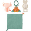Fisher-Price So Many Senses Gift Set (HRB17)