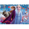 Ravensburger Puzzle: Disney - Frozen Ii (2x12pcs) (5009)