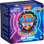 Spin Master Paw Patrol: The Mighty Movie - Pup Squad Surprise Figure (6067087)