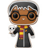 Funko Pop! Harry Potter - Harry Potter (Gingerbread) #175 Vinyl Figure