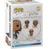 Funko Pop! Harry Potter - Hermione Granger (Gingerbread) #176 Vinyl Figure