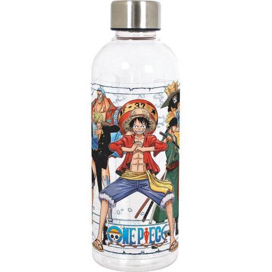 Stor: One Piece - Hydro Bottle (850ml) (570)