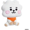AURORA �������� �������� �� ���������� ����� BT21 Baby Rj 20��