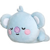 AURORA �������� ���� �������� BT21 Koya 28��