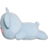 AURORA �������� ���� �������� BT21 Koya 28��