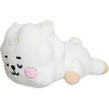 AURORA �������� ���� �������� BT21 Rj 28��