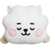 AURORA �������� ���� �������� BT21 Rj 28��