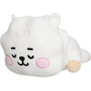 AURORA �������� ���� �������� BT21 Rj 28��