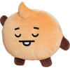 AURORA �������� ���� �������� BT21 Shooky 28��